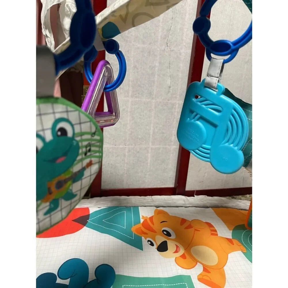 Baby Einstein Colorful Animal Baby Play Gym - Teal, Orange, Red, Blue, White